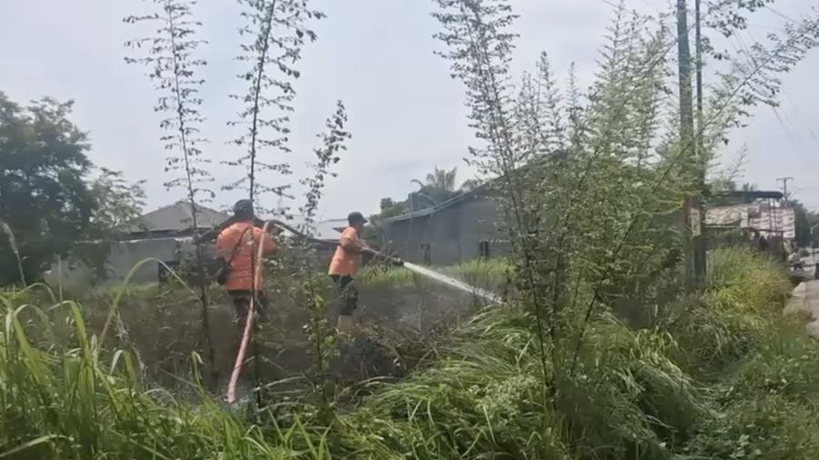 Upaya penanganan darurat oleh BPBD Kota Langsa atas kebakaran rimba dan lahan nan terjadi di Kota Langsa, Provinsi Aceh, pada Minggu (28/6). (Dok. BPBD Kota Langsa)