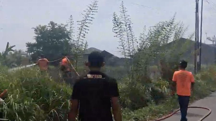 Upaya penanganan darurat oleh BPBD Kota Langsa atas kebakaran rimba dan lahan nan terjadi di Kota Langsa, Provinsi Aceh, pada Minggu (28/6). (Dok. BPBD Kota Langsa)