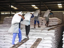 Laba Pupuk Indonesia Naik 253%, Harga Pupuk Turun, Apa Strateginya?
