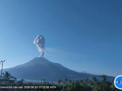 Gunung Lewotobi Laki-laki Erupsi, Semburkan Abu Vulkanik Setinggi 1 Km