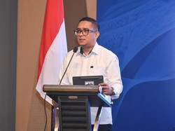 KKP Pastikan Benur Boleh Ditangkap untuk Budidaya Dalam Negeri