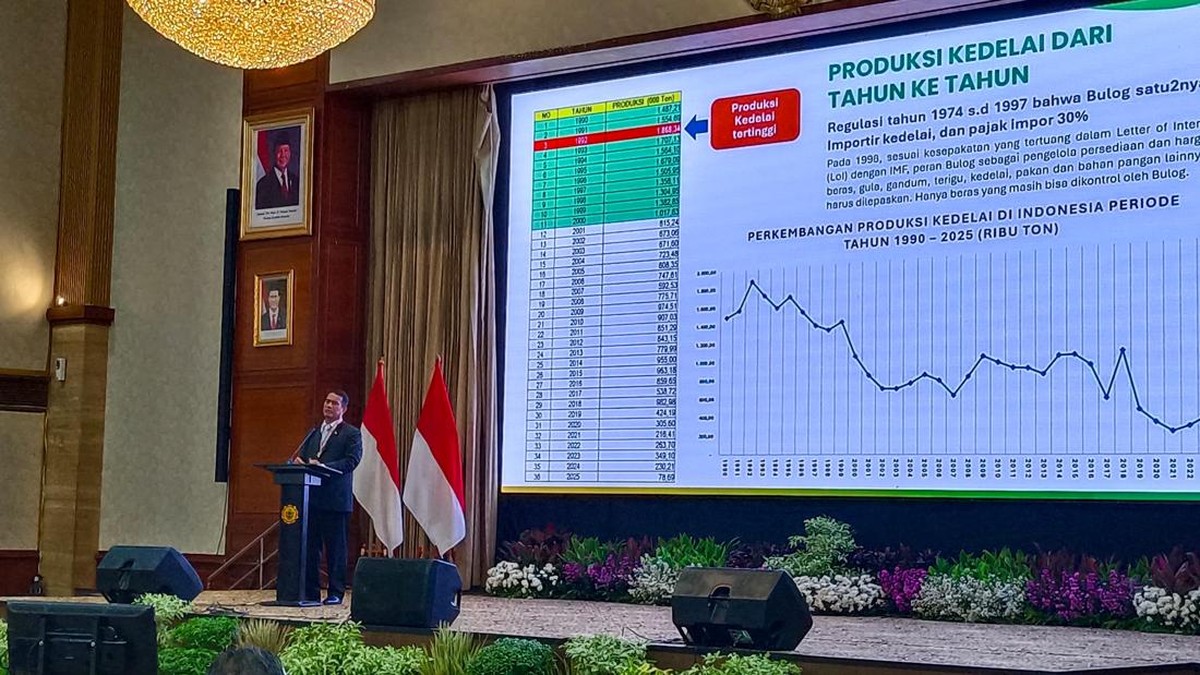 Amran Bongkar RI Rugi Rp 600 T Setahun Gegara Under Invoicing Sawit