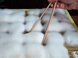5 Fakta Moldy Tofu, Tahu Berjamur dari China yang Kian Populer
