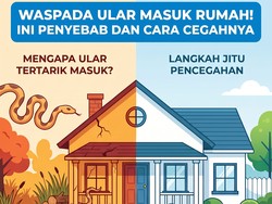 Infografis: Penyebab dan Cara Cegah Ular Masuk Rumah