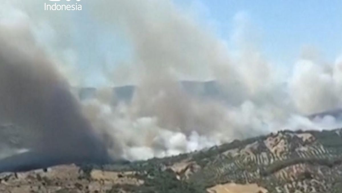 Kebakaran Hutan di Turki, Api Menyebar Cepat ke Pemukiman