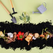 Jangan Langsung Dibuang! 5 Sisa Makanan Ini Bisa Jadi Pupuk Alami untuk Tanaman