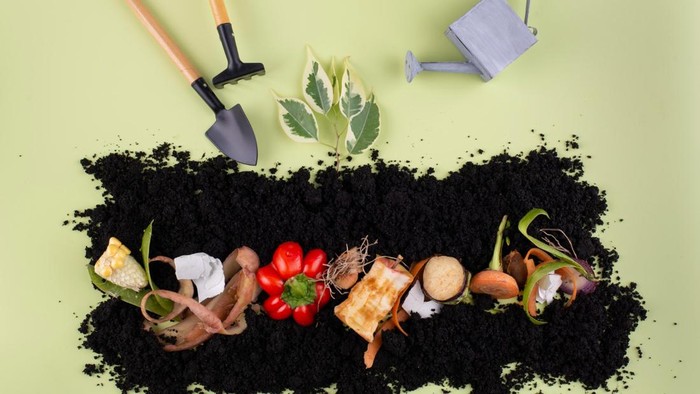 Jangan Langsung Dibuang! 5 Sisa Makanan Ini Bisa Jadi Pupuk Alami untuk Tanaman