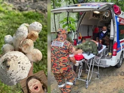 Ngeri! Suami Istri Masuk RS Setelah Makan Jamur Liar yang Dikira Aman