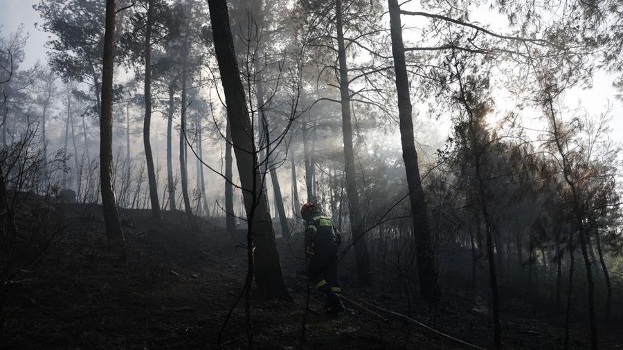 Seorang petugas pemadam kebakaran berupaya memadamkan kebakaran rimba di dekat desa Liti, Thessaloniki, Yunani, 30 Juni 2026.