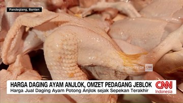 VIDEO: Harga Ayam Turun, Omzet Pedagang Ikut Merosot