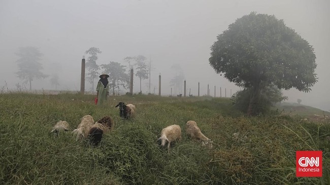 Aktivitas warga terdampak asap kebakaran Tempat Pembuangan Akhir (TPA) Jatiwaringin di Rajeg, Kabupaten Tangerang, Banten, Kamis (02/07/2026). (CNN Indonesia/Adhi Wicaksono)