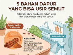 Infografis: 5 Bahan Dapur yang Ampuh Usir Semut di Rumah