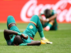 Senegal Apes Banget!