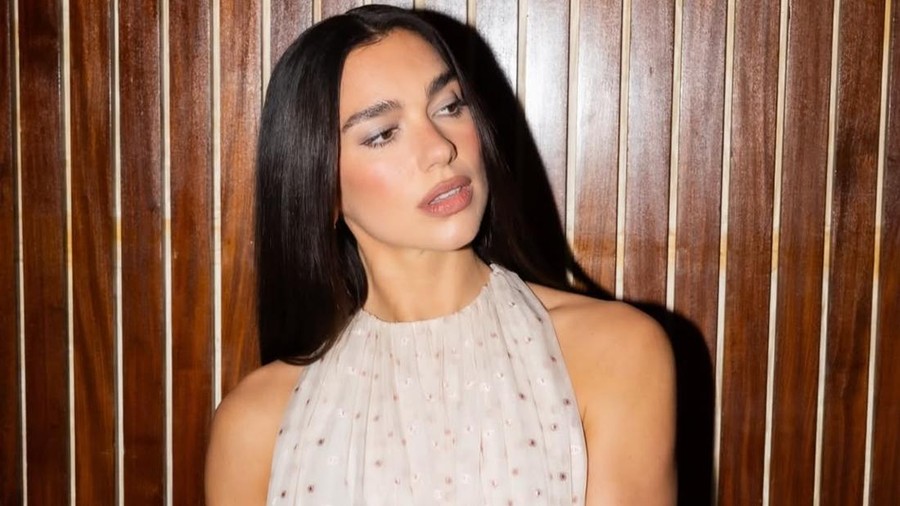 Dua Lipa Bikin 'Manifesto Library'&comma; Perpustakaan yang Menghidupkan Kembali Buku-Buku Terlarang
