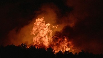 Kebakaran Besar Hutan di Prancis Selatan, 700 Hektare Lahan Hangus