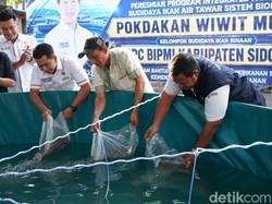 HIPMI Sidoarjo Perkuat Ketahanan Pangan dengan Bioflok