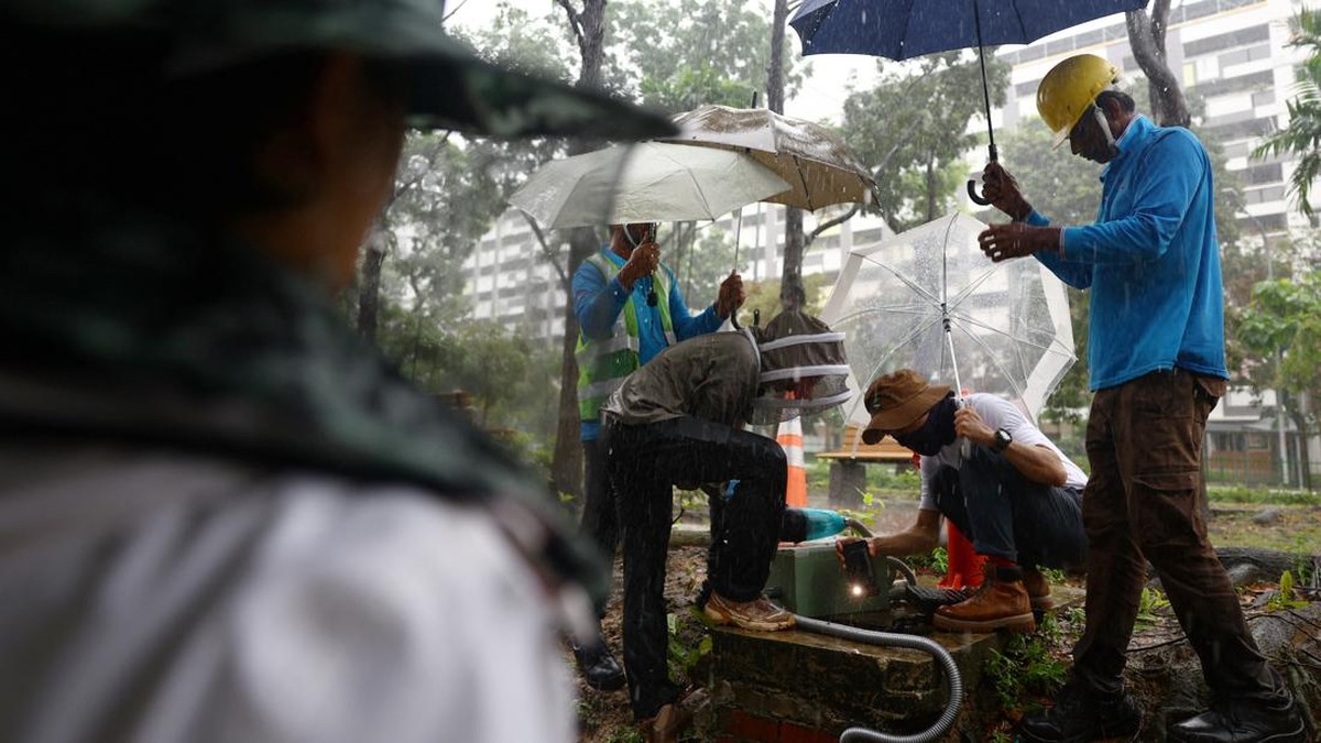 Bee rescuers Clarence Chua and Jian Ping inspect a fire hydrant pit to remove a bee nest in the rain in Singapore, May 15, 2026. REUTERS/Edgar Su