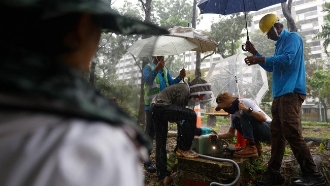 Bee rescuers Clarence Chua and Jian Ping inspect a fire hydrant pit to remove a bee nest in the rain in Singapore, May 15, 2026. REUTERS/Edgar Su