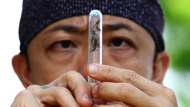 Bee rescuer Clarence Chua looks at a queen bee that he had trapped in a container during the removal of a bee nest in Singapore, May 5, 2026. REUTERS/Edgar Su