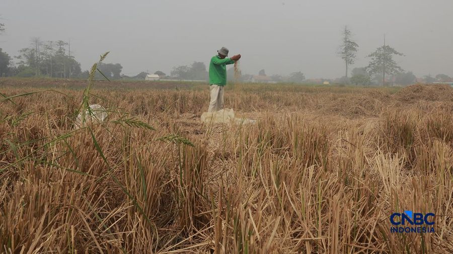Petugas campuran terus berjibaku memadamkan kebakaran nan melanda Tempat Pemrosesan Akhir (TPA) Jatiwaringin, Kecamatan Mauk, Kabupaten Tangerang, Banten, Kamis (2/7/2026).