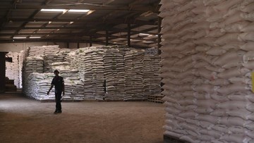Stok Cukup, Pupuk Indonesia Edukasi Pemupukan Berimbang Petani Jatim