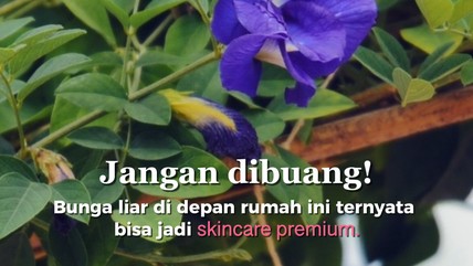 Detik Network