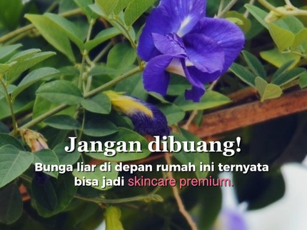 Rahasia Glowing Nol Rupiah