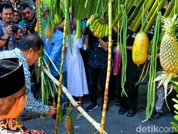 Potong Pantan, Saat Mandau Membuka Jalan Kehormatan dalam Tradisi Dayak