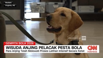 VIDEO: Wisuda Anjing Pelacak Pesta Bola
