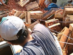 Viral Mobil Muat Telur Dijarah Warga Usai Laka di Purbalingga, Sopir Buka Suara