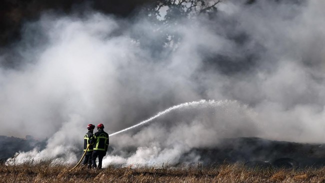 French firefighters work to extinguish a fire near a farm in Grand-Auverne, as drought worsens in Loire-Atlantique, France, June 30, 2026. REUTERS/Stephane Mahe