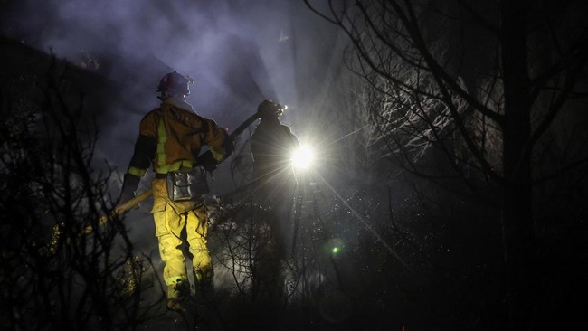 Firefighters work as a wildfire burns in Pouzols-Minervois near Narbonne, France, July 3, 2026. REUTERS/Alexandre Dimou