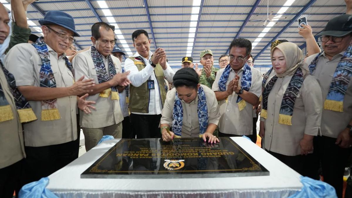 Ketua Komisi IV DPR Resmikan Gudang Komoditas Pangan BULOG di Kalsel