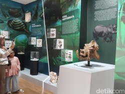 5 Rekomendasi Wisata Edukasi di Ciamis untuk Libur Sekolah