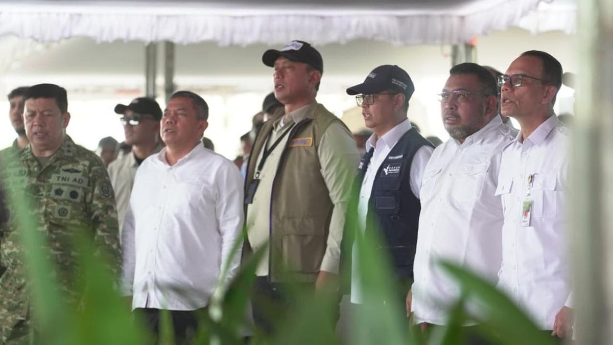 Bulog Dukung Cetak Sawah Merauke – Swasembada Pangan di Tengah Tekanan Fiskal