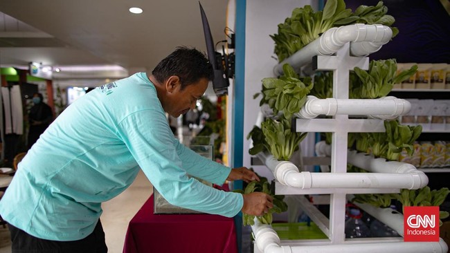 Dinas Ketahanan Pangan, Kelautan, dan Pertanian (KPKP) Provinsi DKI Jakarta menggelar Festival Urban Farming 2026 di Istora Senayan, Jakarta.