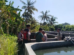 Pilu Dua Bocah di Buleleng Tewas Tenggelam di Bak Tambak Bandeng
