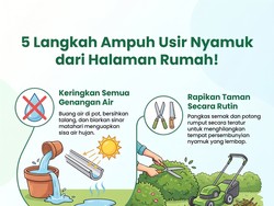 4 Cara Bikin Nyamuk Nggak Betah di Rumah, Nomor 1 Wajib Dicoba