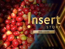 Insert Story: Kopi Bajawa Tak Sekadar Minuman Namun Perjalanan Budaya