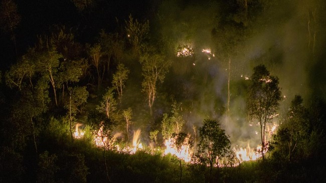 Kebakaran Lahan di Ogan Ilir
