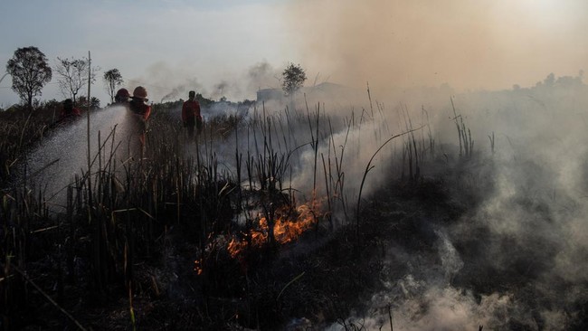 Kebakaran Lahan di Ogan Ilir