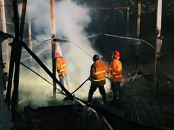 Kandang Ternak di Karangasem Terbakar, 22 Ribu Ayam Terpanggang