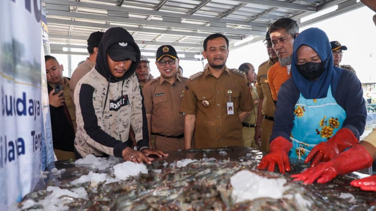 Tambak Udang Pemprov Jateng Sukses Panen di Tengah Kawasan Industri