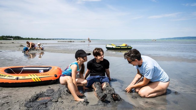 Penurunan permukaan air Danau Balaton dalam beberapa hari terakhir membuat gundukan pasir