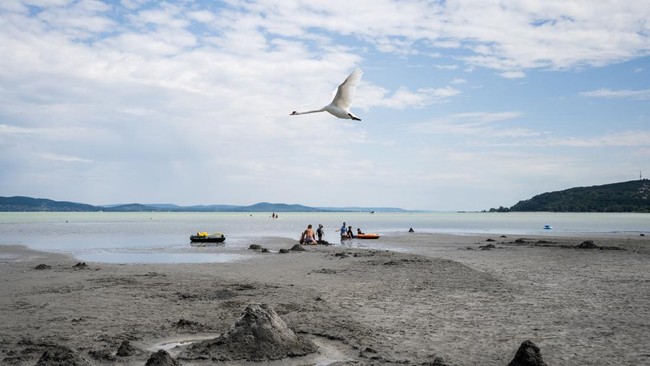 Penurunan permukaan air Danau Balaton dalam beberapa hari terakhir membuat gundukan pasir