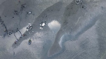 Penurunan permukaan air Danau Balaton dalam beberapa hari terakhir membuat gundukan pasir "Monkey Island" kembali terlihat, memicu kekhawatiran warga.