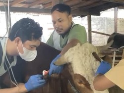 Kisah Alumnus Unair Banyuwangi yang Sukses Buka Klinik Hewan hingga Brunei