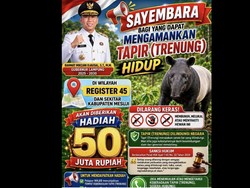 Duh! Gubernur Malah Bikin Sayembara Tangkap Tapir Hidup-hidup, Hadiahnya Rp50 Juta