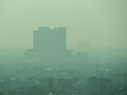 Video IDAI: 13,3% Anak yang Tampak Sehat Alami Penurunan Paru-paru