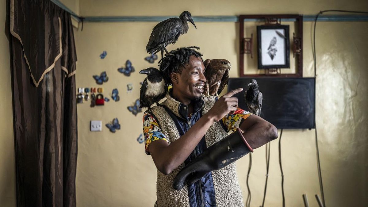 Rodgers Oloo Magutha, 28, popularly known as Nairobi Birdman, caresses some of the wild birds under his care before feeding them at his one-room apartment in Kayole, a low-income neighbourhood on the outskirts of Nairobi, on July 4, 2026. Once a home